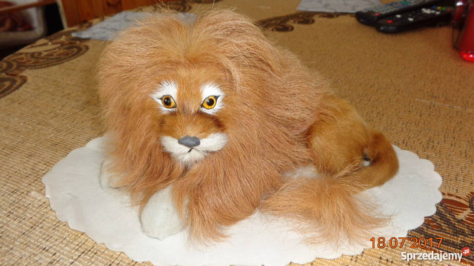 ozdobny lew na dekoracje Poznań