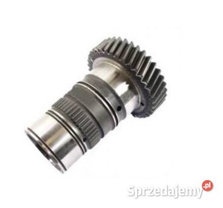 KOŁO ZĘBATE 5171876 Pleszew