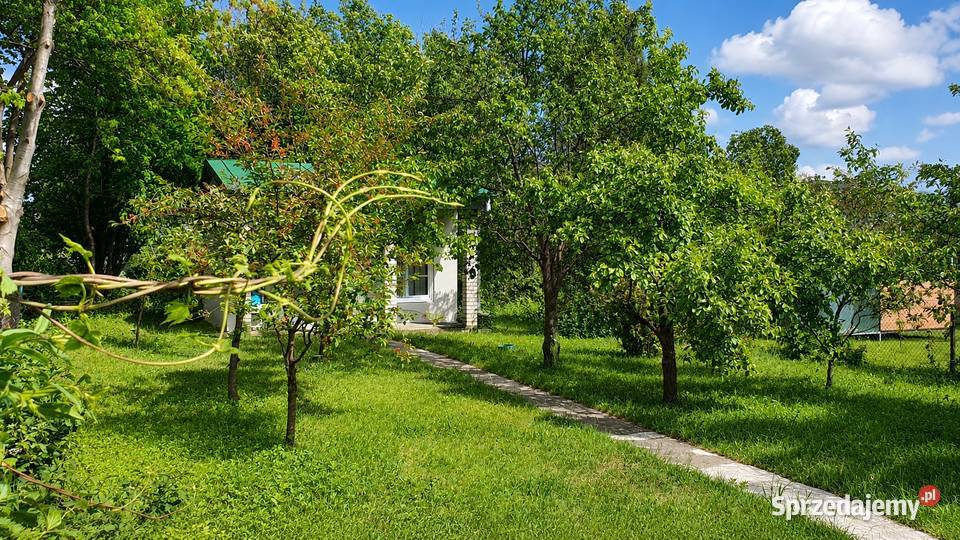 Działka ROD Warszawa Bemowo