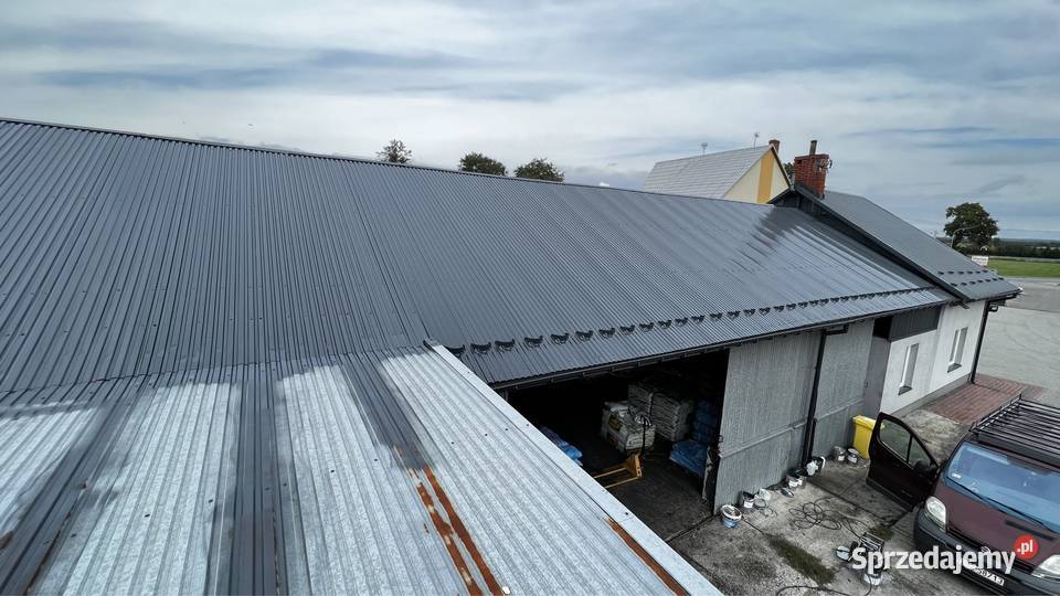Mycje i malowanie dachów i elewacji Staszów