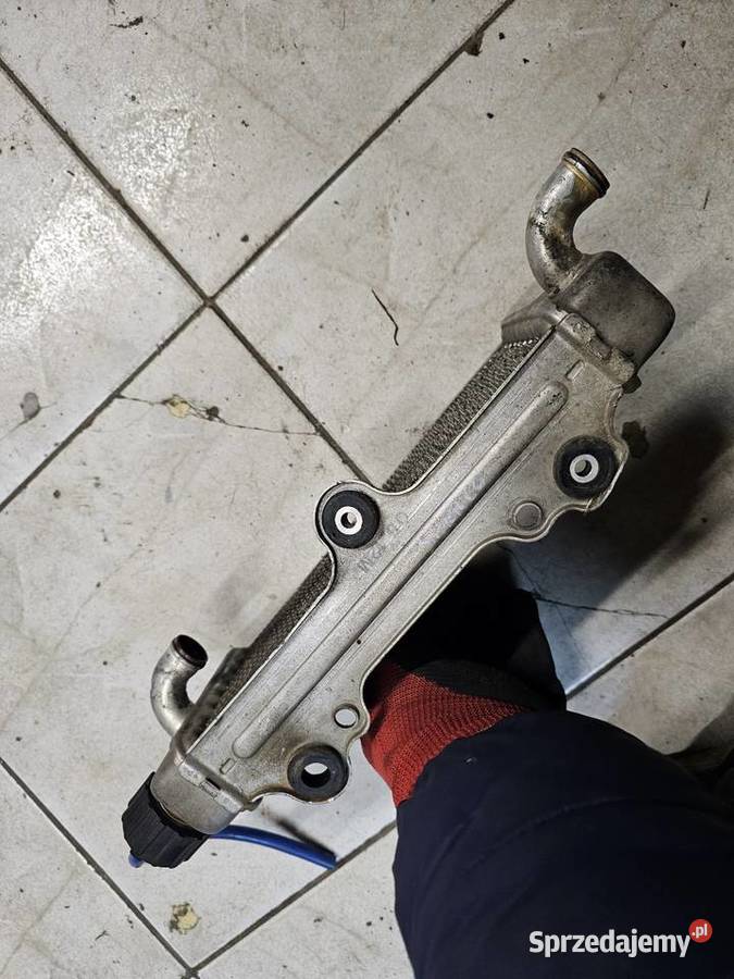 Sherco 50 chłodnica korek chłodnicy am6 TZR 50 Chłodnice dolnośląskie Jelenia Góra