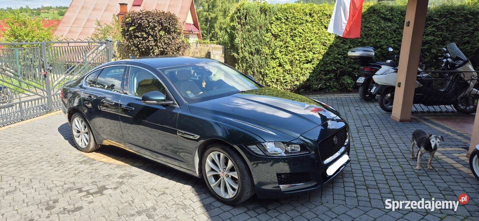 Jaguar XF 30 diesel 300 światła do jazdy dziennej małopolskie Poręba Wielka