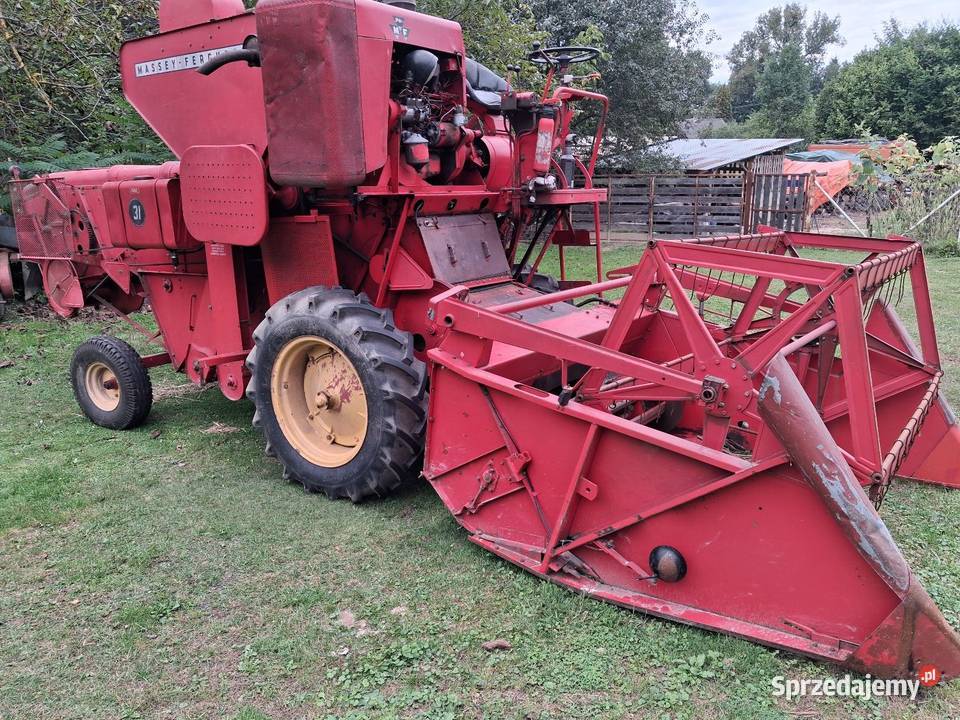 Kombajn zbożowy Massey ferguson 31 Massey Ferguson Janów Lubelski