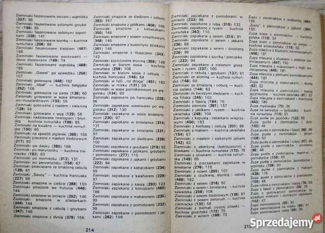500 potraw z ziemniaków WA Bołotnikowa Goleniów