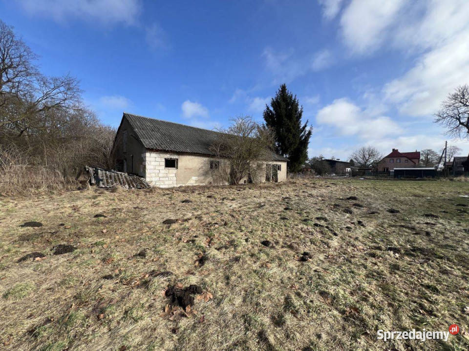 Na sprzedaż Zabytkowy Pałac z dużą działką Skórzyno