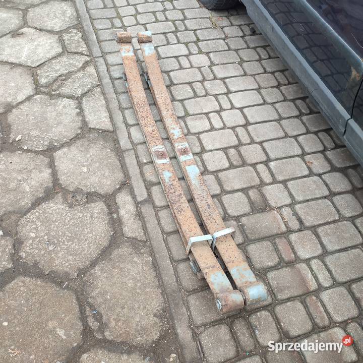 Resory dwa pióra mocne dwie sztuki Radzyń Podlaski