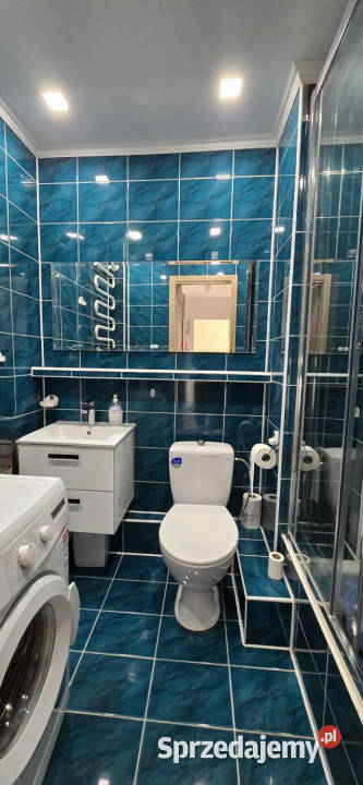 Mieszkanie Włocławek Toruńska 327m2 2pokojowe Rok budowy 1978