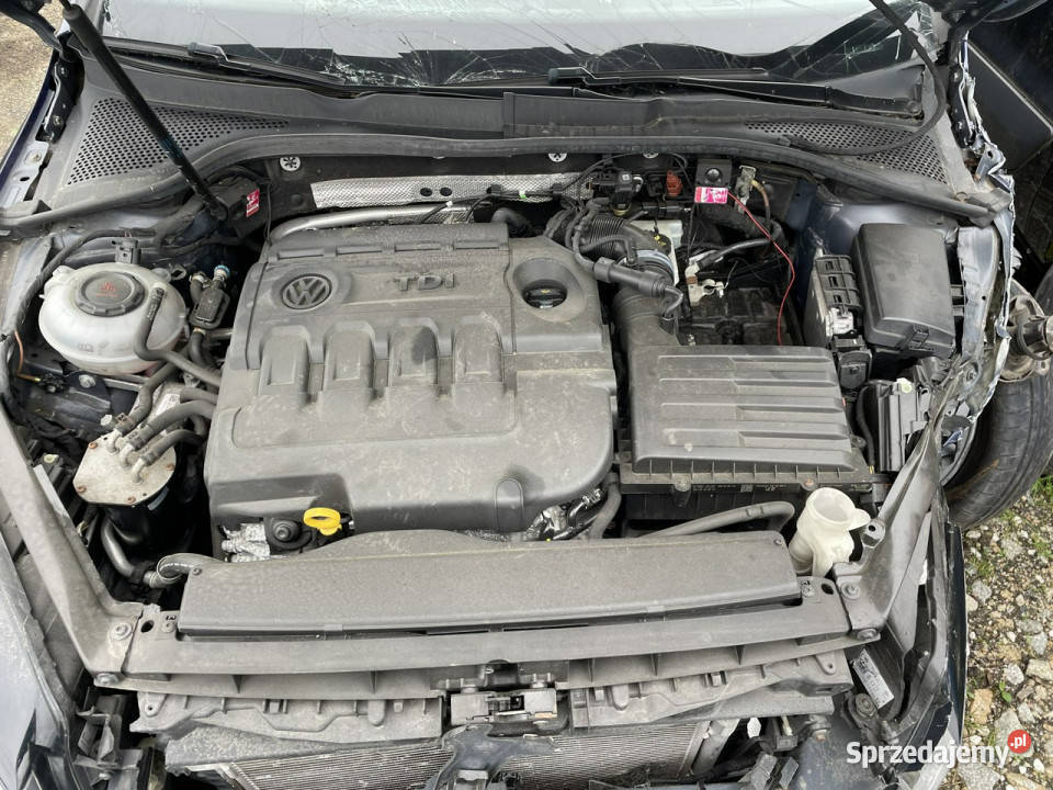 Volkswagen Golf Golf VII 20 TDI150 Klima Navi dolnośląskie Syców