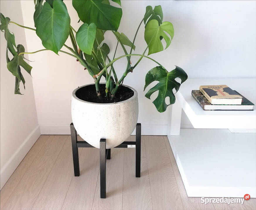 Stojak na kwiaty drewno dębowe 35h30 dąb czarny Pozostałe dolnośląskie Wrocław