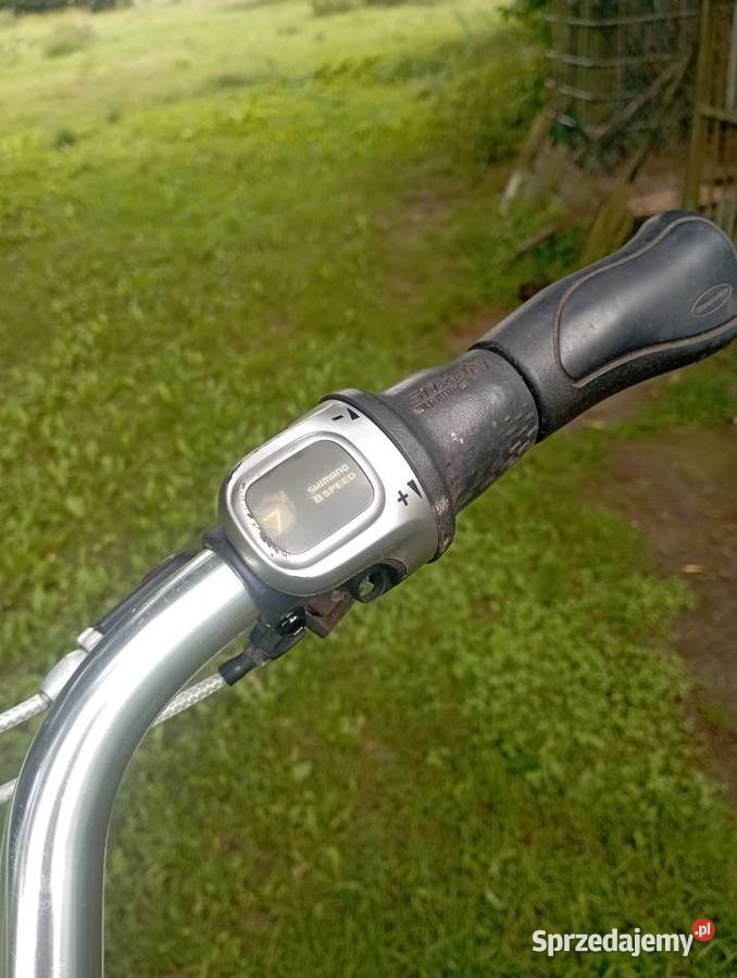 Rower elektryczny Sparta Ion XGT Mieszałki