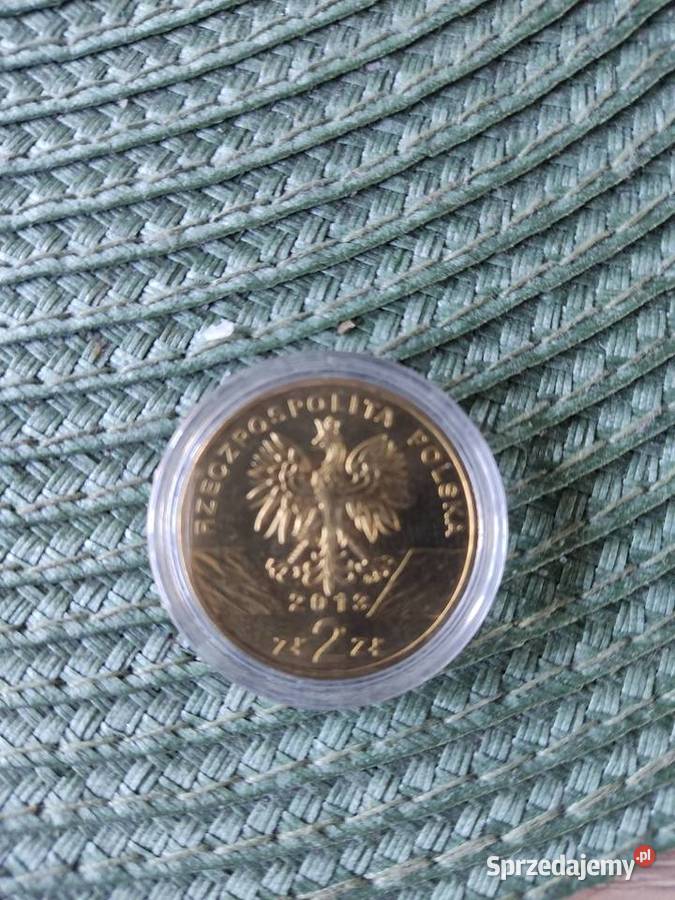 2 bizon 2013 r lubelskie Lublin sprzedam