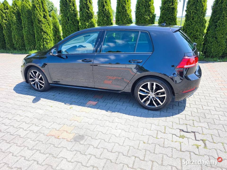 Golf VII 16 TDI DSG FUll LED CD wielkopolskie