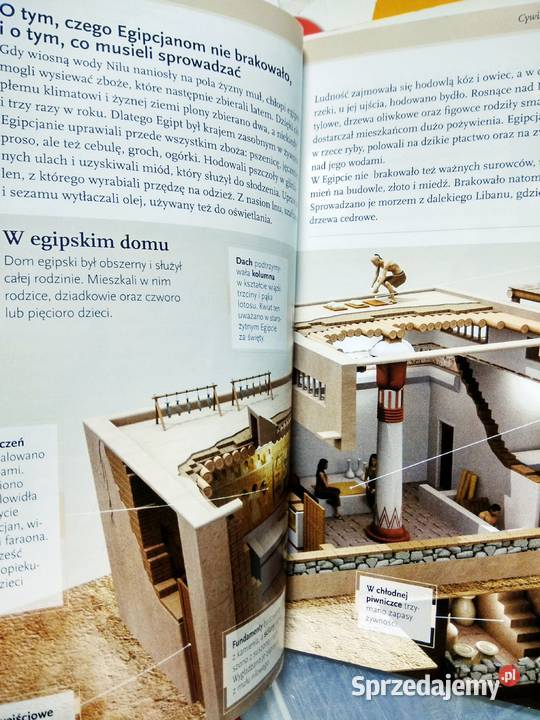 Historia wokół nas 5 podręcznik antykwariat Warszawa
