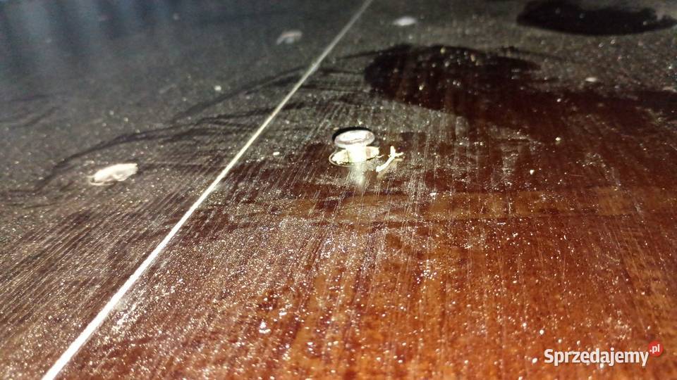 Kontener Magazynowy 12m 40HC