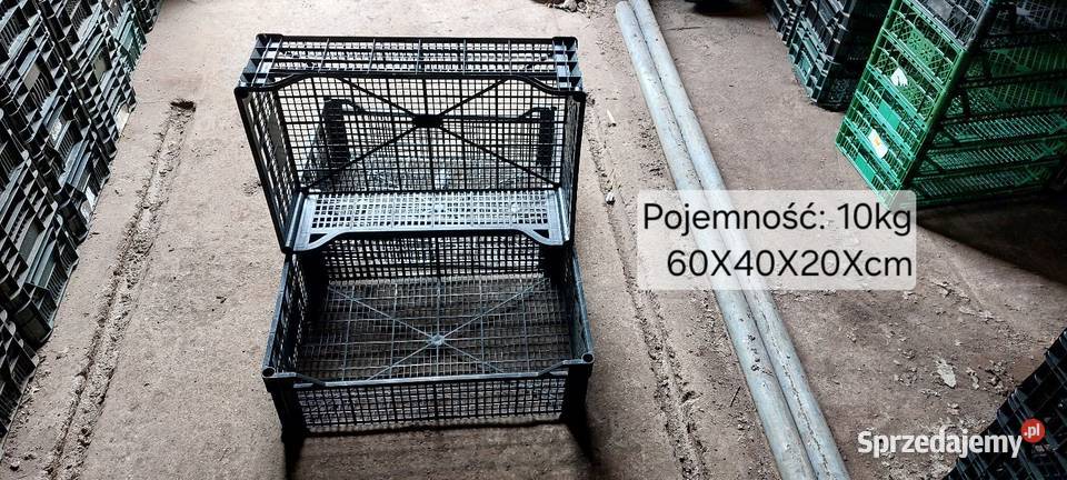 Skrzynki plastikowe 60x40x20 10 Czempiń