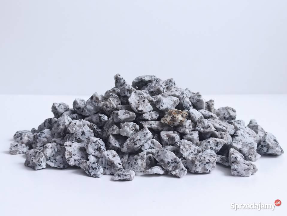 Grys Granitowy Dalmatyńczyk szary w kropki Biała