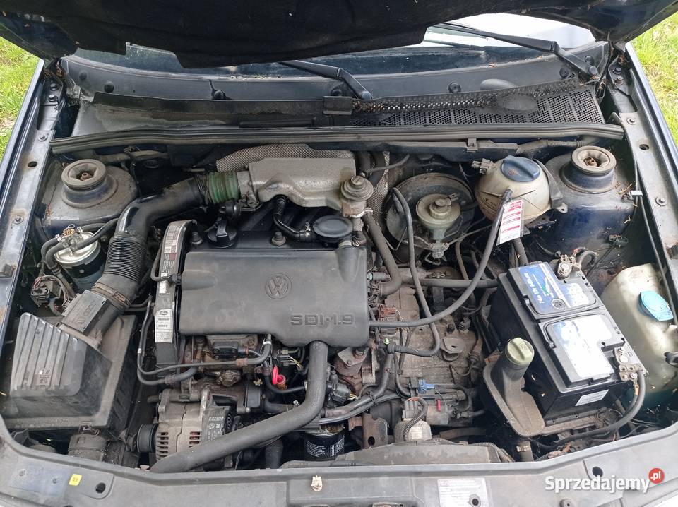 Volkswagen Golf III 19 SDI 47 kW 1996 r dawca Rok produkcji 1996 Szklarka Myślniewska