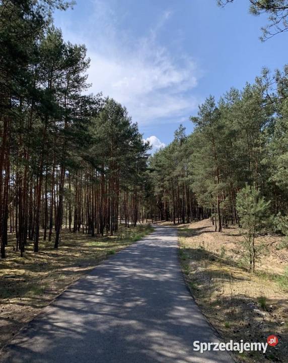Las działka 4000m Nowe Polesie mazowieckie