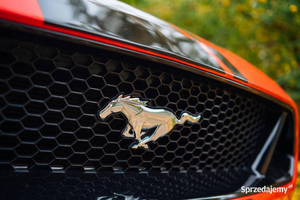Ford Mustang GT V8 50 mazowieckie Piaseczno