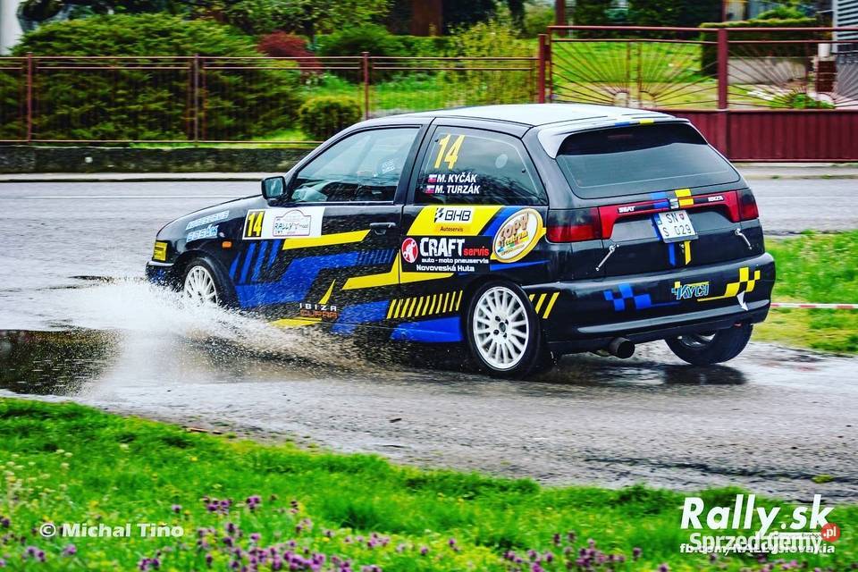 Seat Ibiza cupra Góra