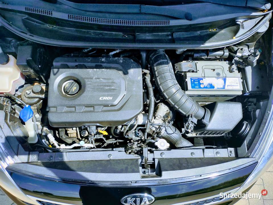 Kia Rio LED klimatyzacja nieuszkodzony Kielce
