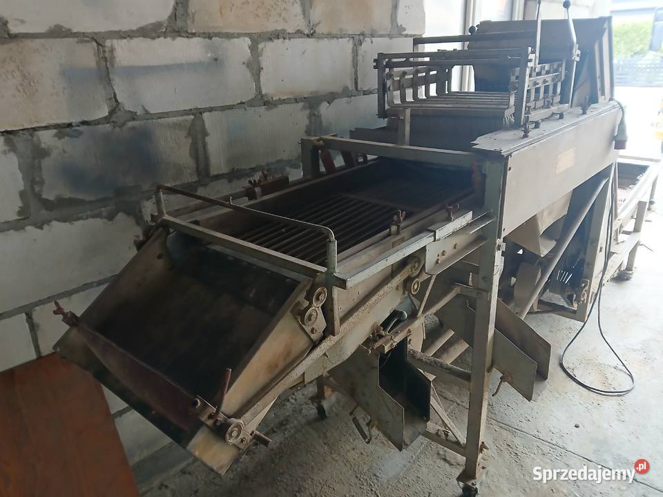 Sortownik do cebulek kwiatowych i innych Wojciechów-Kolonia Piąta