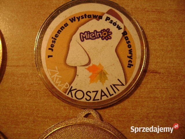 Starocie z PRL PSY Zestaw 17 medali z wystaw Kolekcje Gdynia