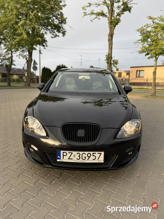 Seat Leon Kostrzyn