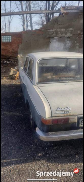 Audi 60 10km opolskie Jełowa