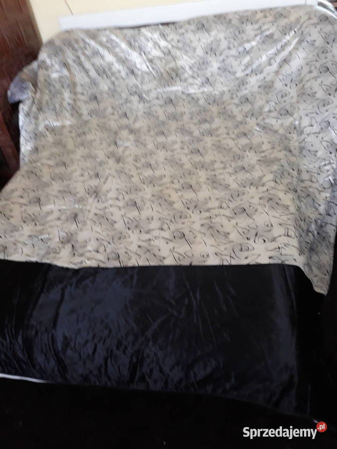 Kapa nasz biały Sosnowiec