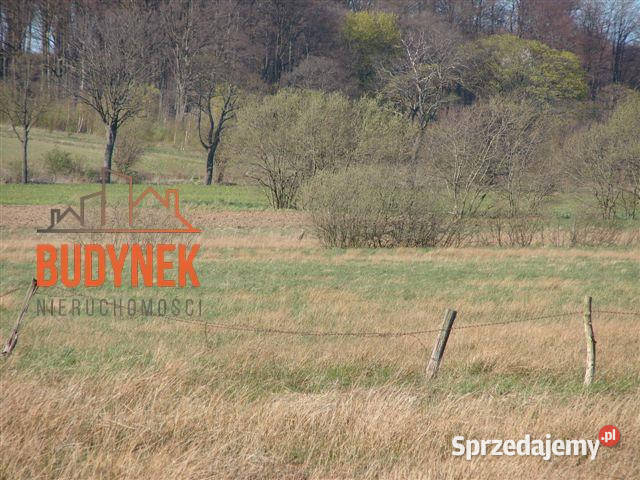 Działka rolna Karsino