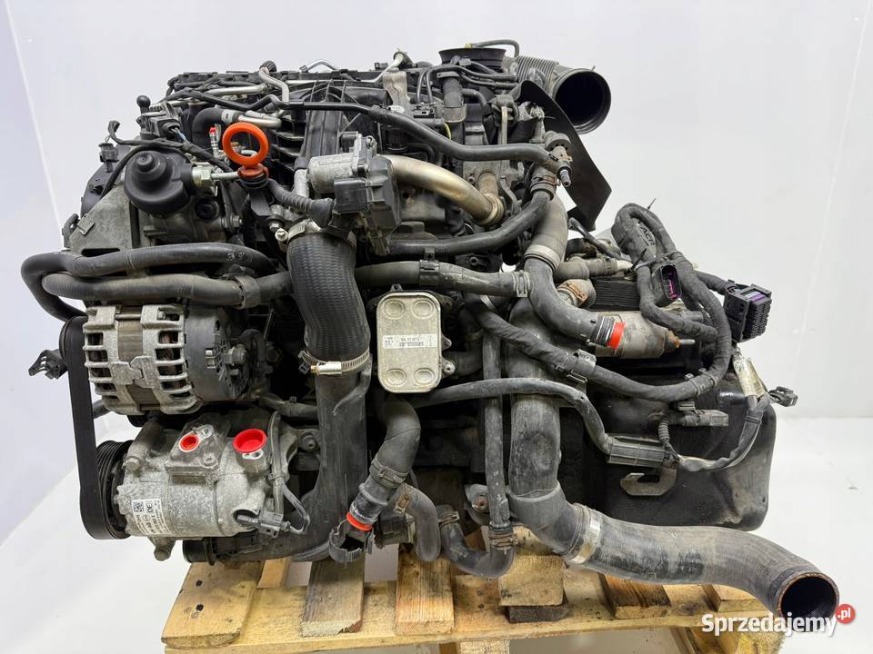 SILNIK CFG CFGB VW Golf VI Passat B6 B7 CC Chełm sprzedam
