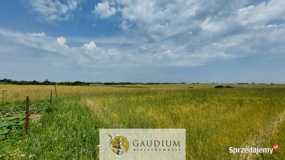 Działki przemysłowe PSSE Sztum