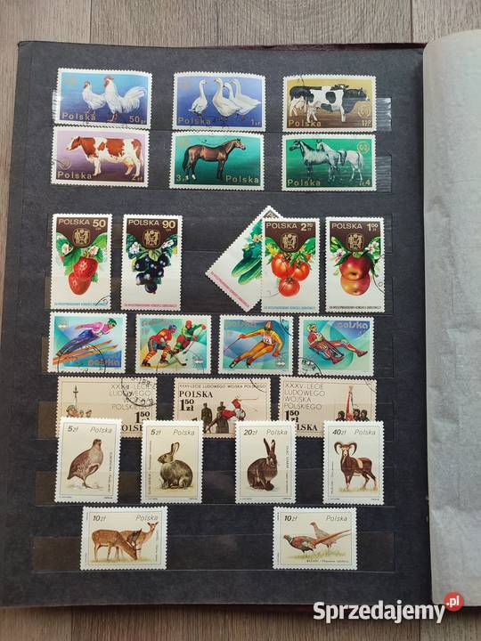 Klaser z znaczkami duży zestaw Pozostałe Poraj