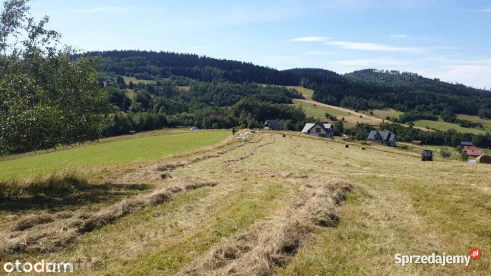 sprzedaży gruntu 3566m2 Walim sprzedam