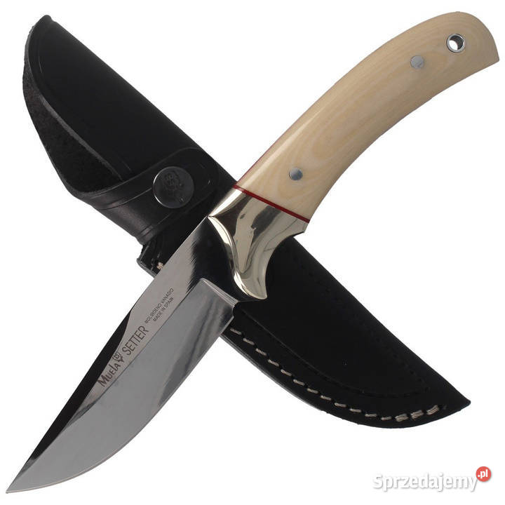 Nóż Muela Setter11B Ivory Micarta Mirror mazowieckie Warszawa