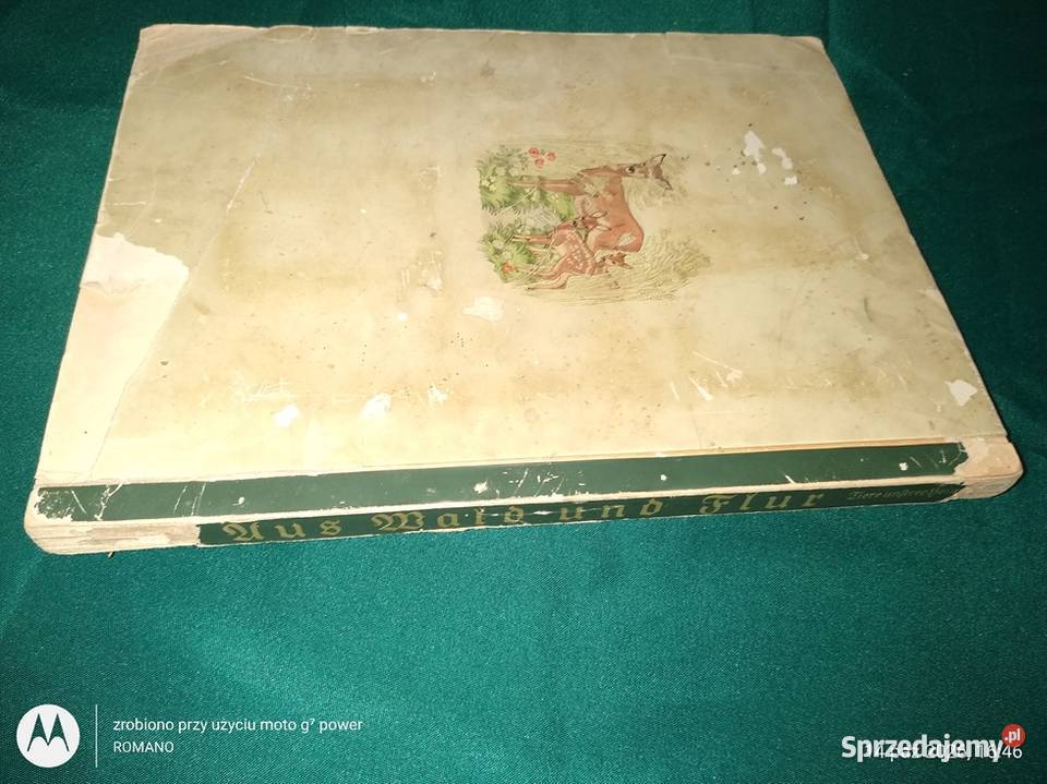 Książka album Fauna europejska Rok wydania 1938 Katowice