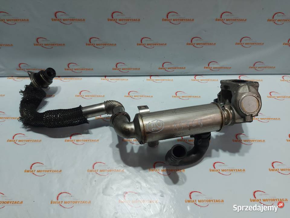 MAZDA 3 FORD 16 CITD Y6 7M5Q6007FB 110 osobowe Kielce