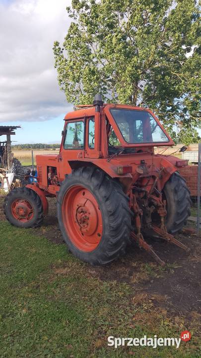 MTZ 82 Belarus z napędem Belarus warmińsko-mazurskie sprzedam