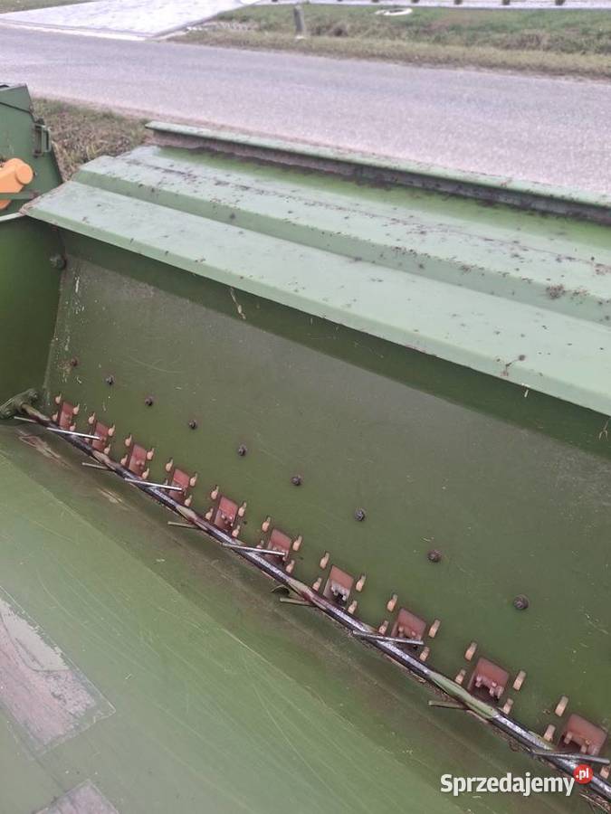 Siewnik amazone Radoszyce