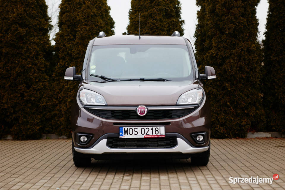 Fiat Doblo II 2009 Rzekuń