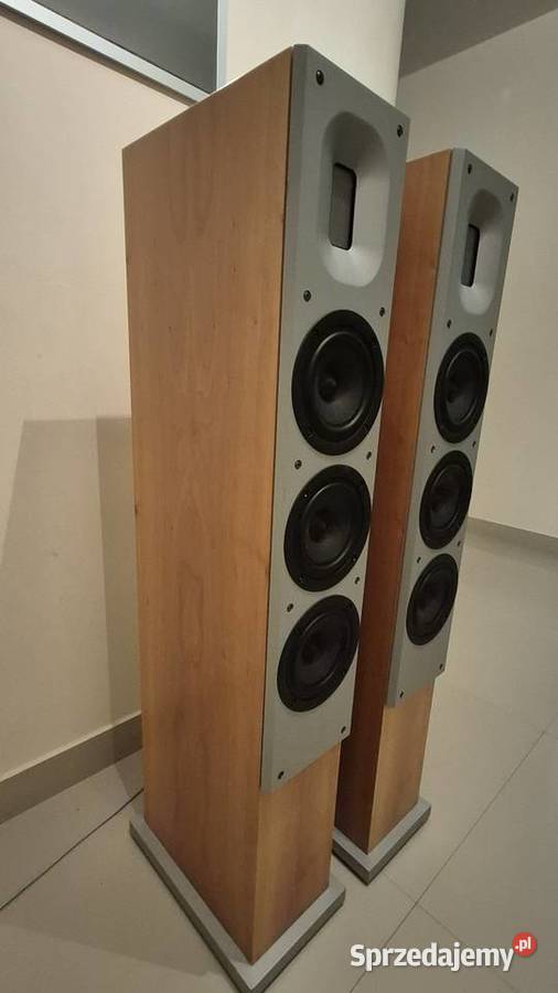 Kolumny podłogowe Raidho Emilies2 Lublin