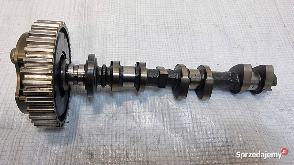 WAŁEK ROZRZĄDU SSĄCY KOŁO ROZRZĄDU FORD FOCUS kujawsko-pomorskie