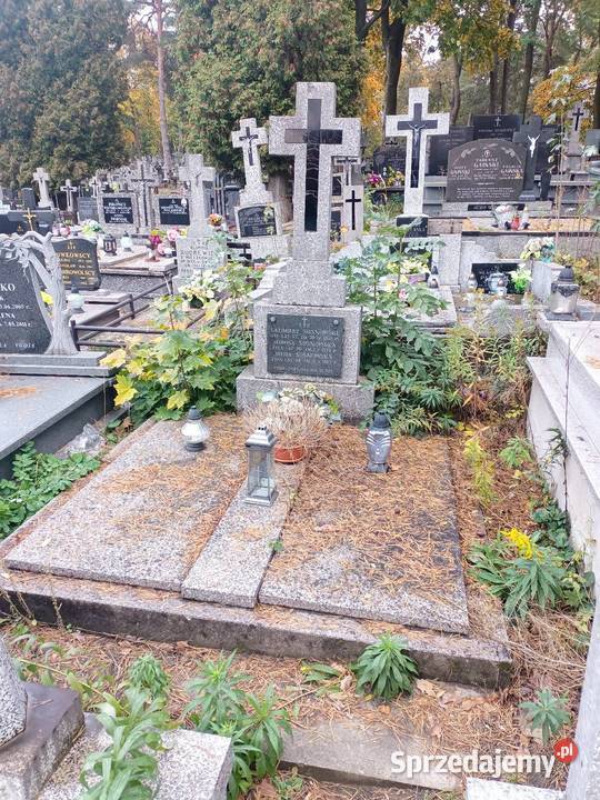 Regeneracja pomników Lastryko i inne podlaskie Białystok