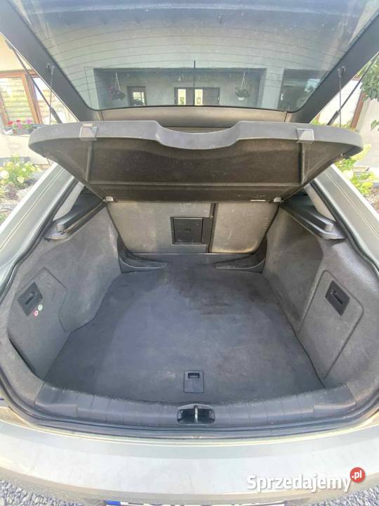 Opel Vectra C GTS 19 CDTi Trawniki-Kolonia