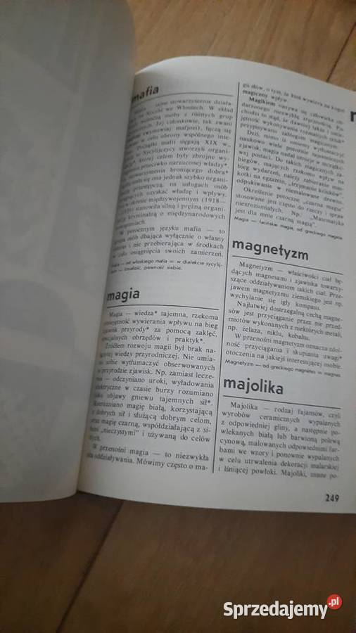 Wyrazy trudne ważne i ciekawe leksykon młodego Serock