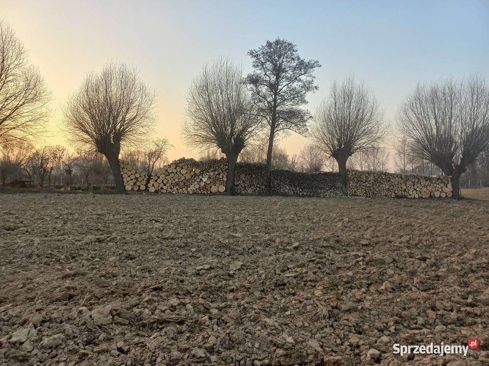 Drewno opałowe kominkowe liściaste Pozostałe