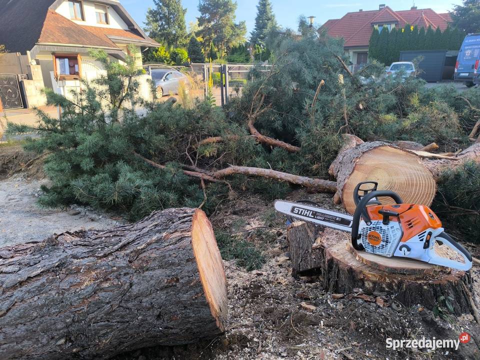 Wycinka drzew Wrocław Kosz Alpinista Pozostałe usługi