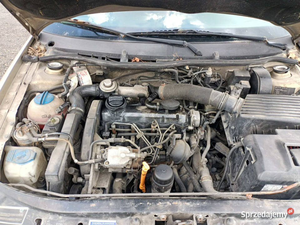 koda Octavia Skoda Octavia 19TDi 110 05r I Tarnów sprzedam