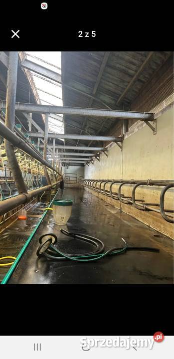 Hala Udojowa Gea 2x20 2x12 2x10 Westfalia Czyżew